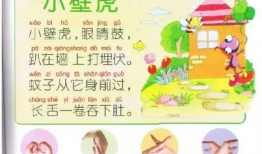 手指歌视频五指歌,手指舞动中的韵律与智慧